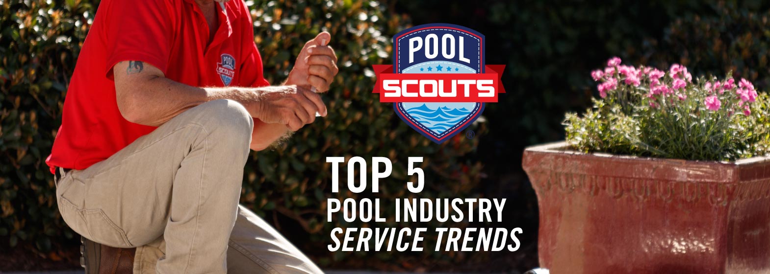 Image of Top 5 Pool Industry Service Trends 