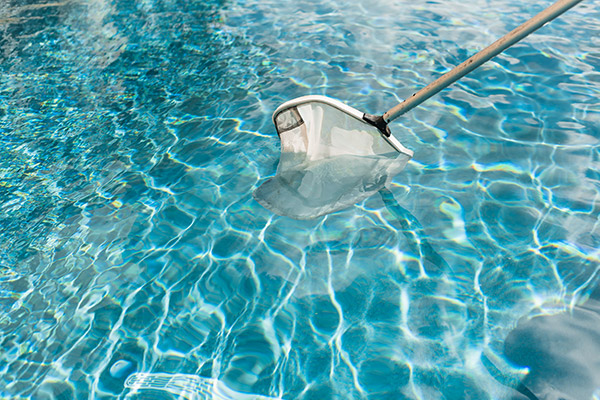 Pool net skimming clean pool water