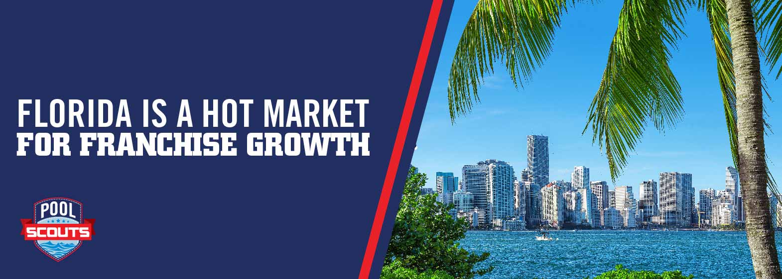 Picture of Florida city in background with a palm tree highlighting franchise growth