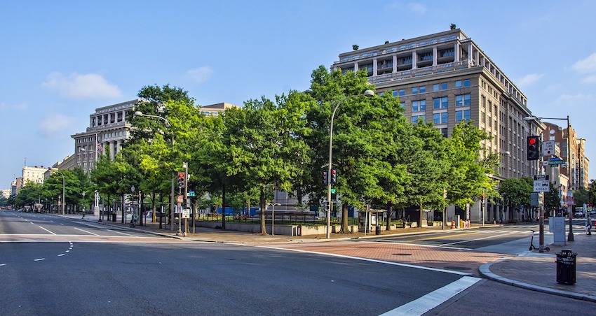 Tree-lined street in Washington DC